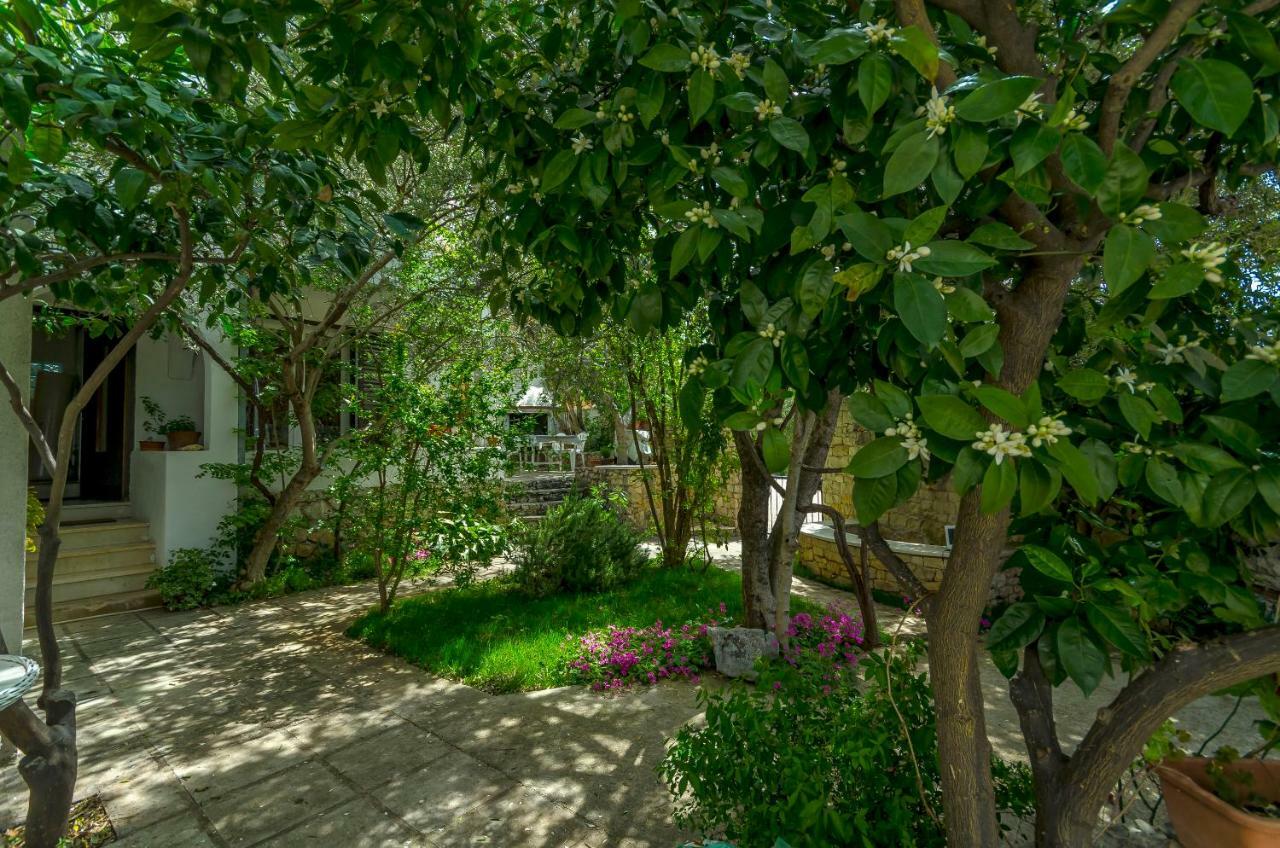 Apartment Dory Trogir Ngoại thất bức ảnh